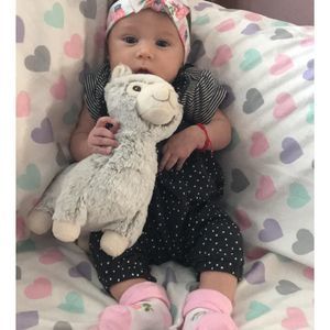 Meet your Posher, Paula